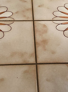 Before tile and grout cleaning in New Port Richey with dark grout lines and heavy buildup
