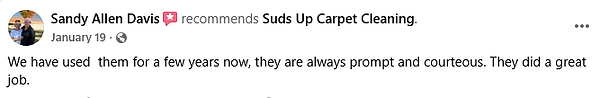 Facebook review from homeowner recommending Suds Up Carpet Cleaning.