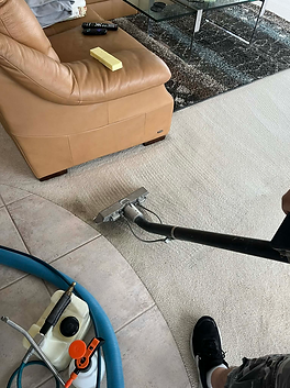 Carpet after professional cleaning with high-traffic areas greatly improved.