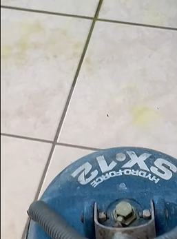 Close up of professional tile and grout cleaning in an Oldsmar FL home restoring dirty grout lines.