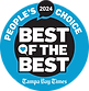 Screenshot 2025-09-28 at 07-24-17 2024 Tampa Bay times best of the best - Google Search_ed