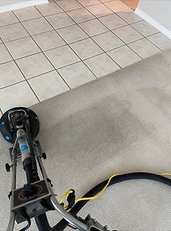 rotovac-cleaning-in-wesley-chapel.jpg.png
