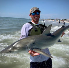 Fisherman on the beach holding a large shark.