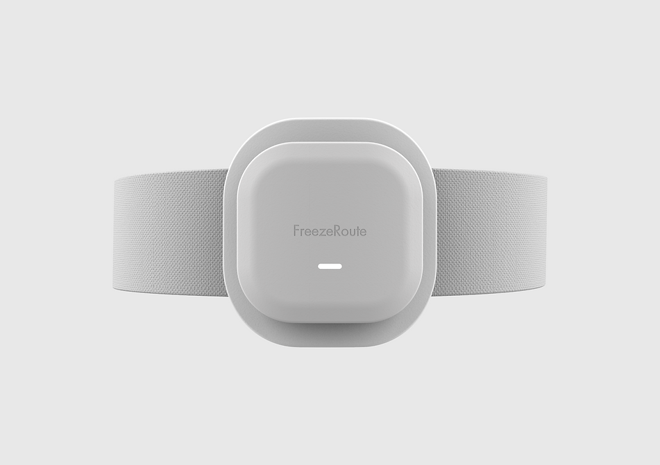 FreezeRoute Design