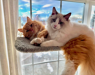 Sharnel - Kevin & Kyle.jpg