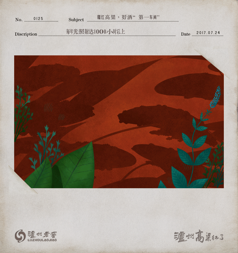 蚂蚁.gif
