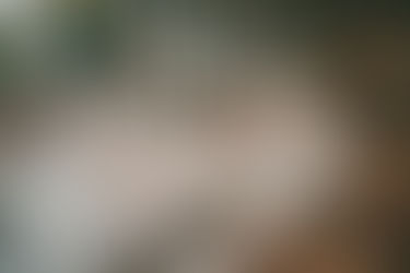 WIR FREUEN UNS, SIE Ab dem 01.06.2021 BEI UNS WIEDER WILLKOMMEN ZU HEISSEN