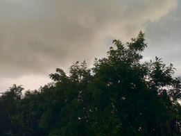 Meteorologia – Previsão do clima e alerta para vendavais, nesta semana, para Estado e Região Carbonífera