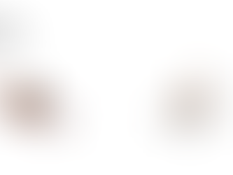 Saúde – Atenção! Aumento da incidência de picadas de aranha marrom