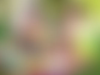 LAZER - Dicas para relaxar no final de semana