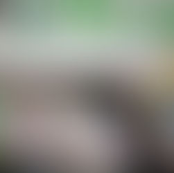 Ação Social – APAE Butiá recebe doação de tampinhas