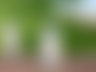 Alimentação – Anvisa detecta soda cáustica em fábrica de leite gaúcha