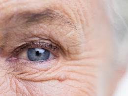 Genética vs Estilo de Vida - O que determina seu envelhecimento?