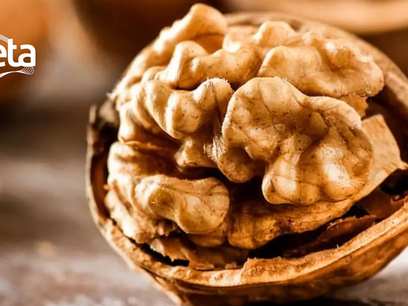 Saúde – Conheça os benefícios das nozes para quem sofre de insônia