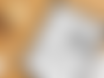 Saiu no Jornal - Retorno Escolar