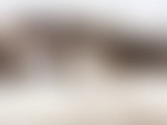 Sobre PET’S – A diferença entre Cadastro Nacional e Microchipagem de Animais Domésticos