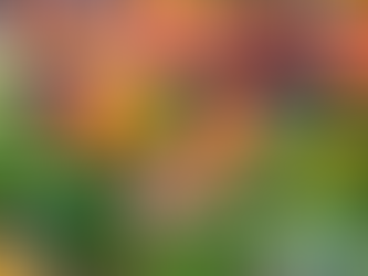 Economia - Os alimentos que mais sofreram aumento no Estado, nos primeiros meses de 2025