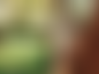 Final de Semana – Sugestões para recarregar as energias e relaxar