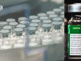 Saúde – Aprovada, pela Anvisa, vacina contra a Dengue fabricada no Brasil