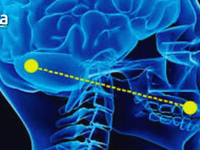 Saúde - Pesquisa sugere que doença na gengiva possa estar ligada a Alzheimer