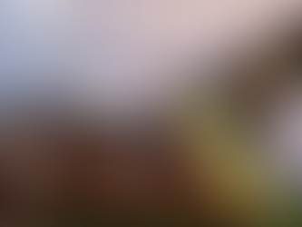 Expointer/2025 – Atrações e algumas premiações da Feira