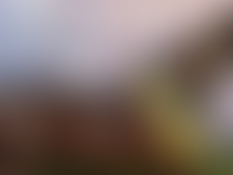 Expointer/2025 – Atrações e algumas premiações da Feira