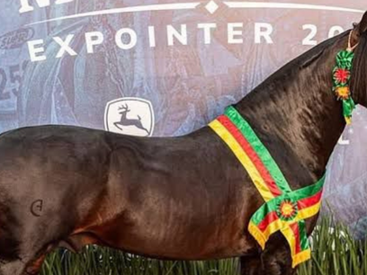 Expointer/2025 – Atrações e algumas premiações da Feira