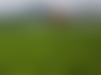 Alimentação e Saúde – Brasil bateu recorde de novos agrotóxicos em 2025