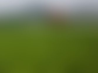 Alimentação e Saúde – Brasil bateu recorde de novos agrotóxicos em 2025