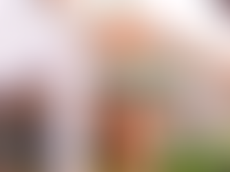 Alimentação – Anvisa recolhe marca de doce de leite, sal e azeite de oliva do comércio