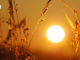 Meteorologia – Como vai estar o clima, nesta semana, em Butiá