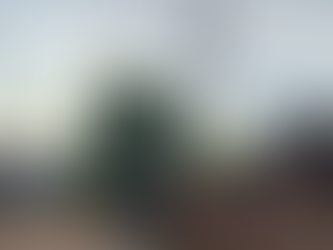 Butiá - Atenção! Poste de luz caído na Vila Julieta