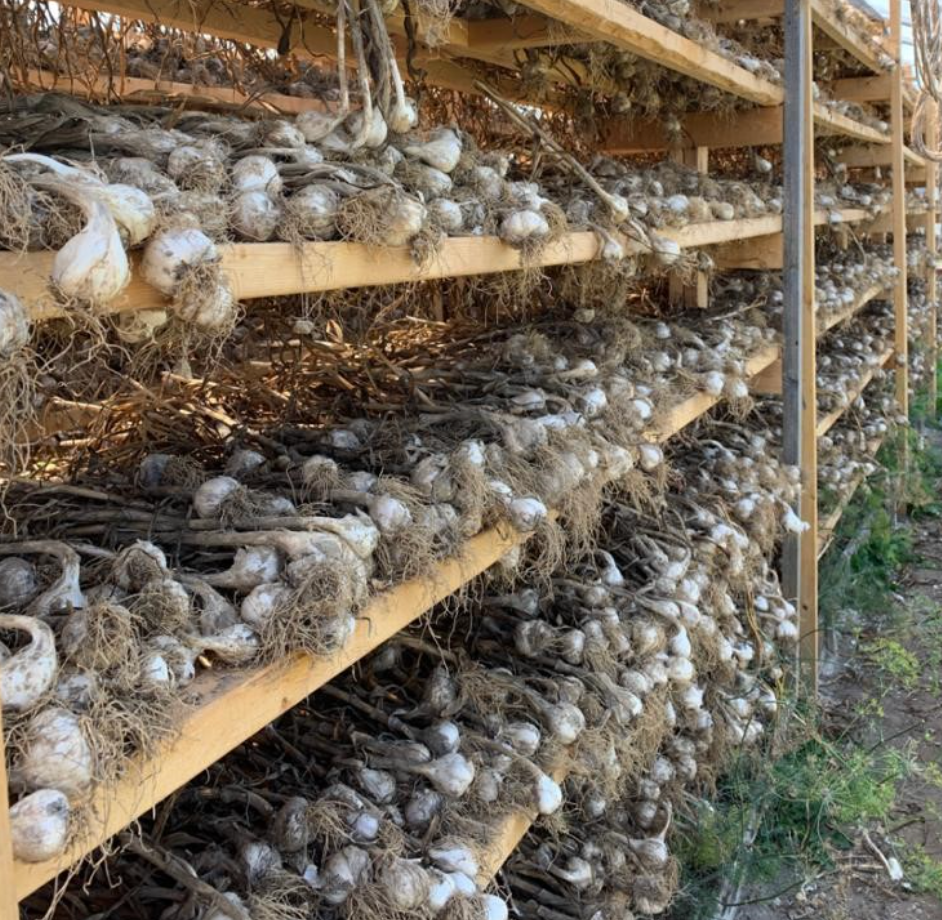 Source – Food 4 Life Market Garden
