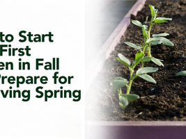 How to Start Your First Garden in Fall and Prepare for a Thriving Spring