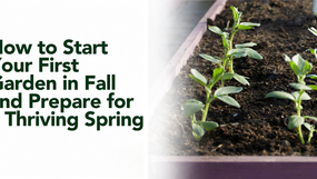 How to Start Your First Garden in Fall and Prepare for a Thriving Spring