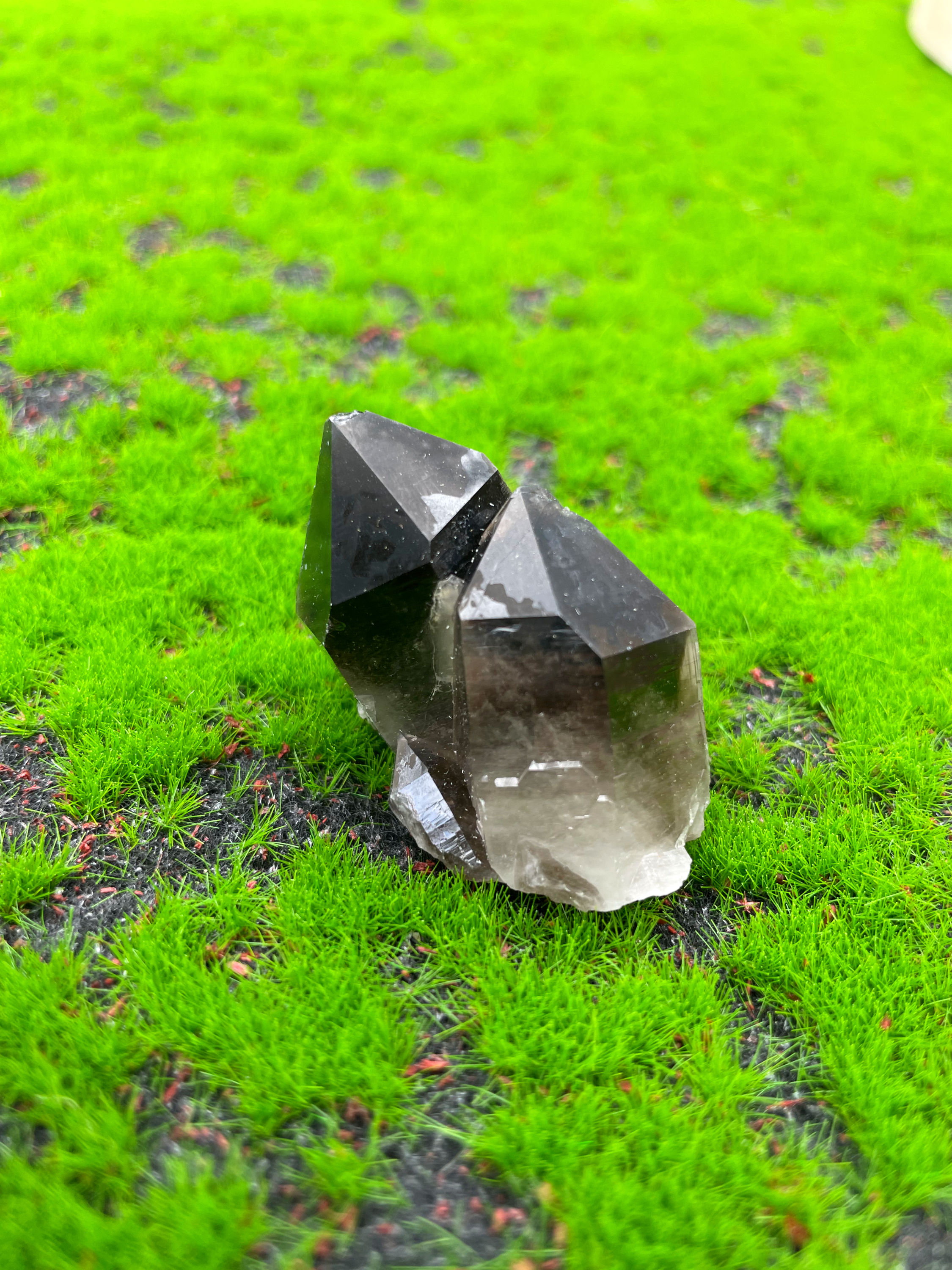 Smokey Quartz Cluster (Medium)