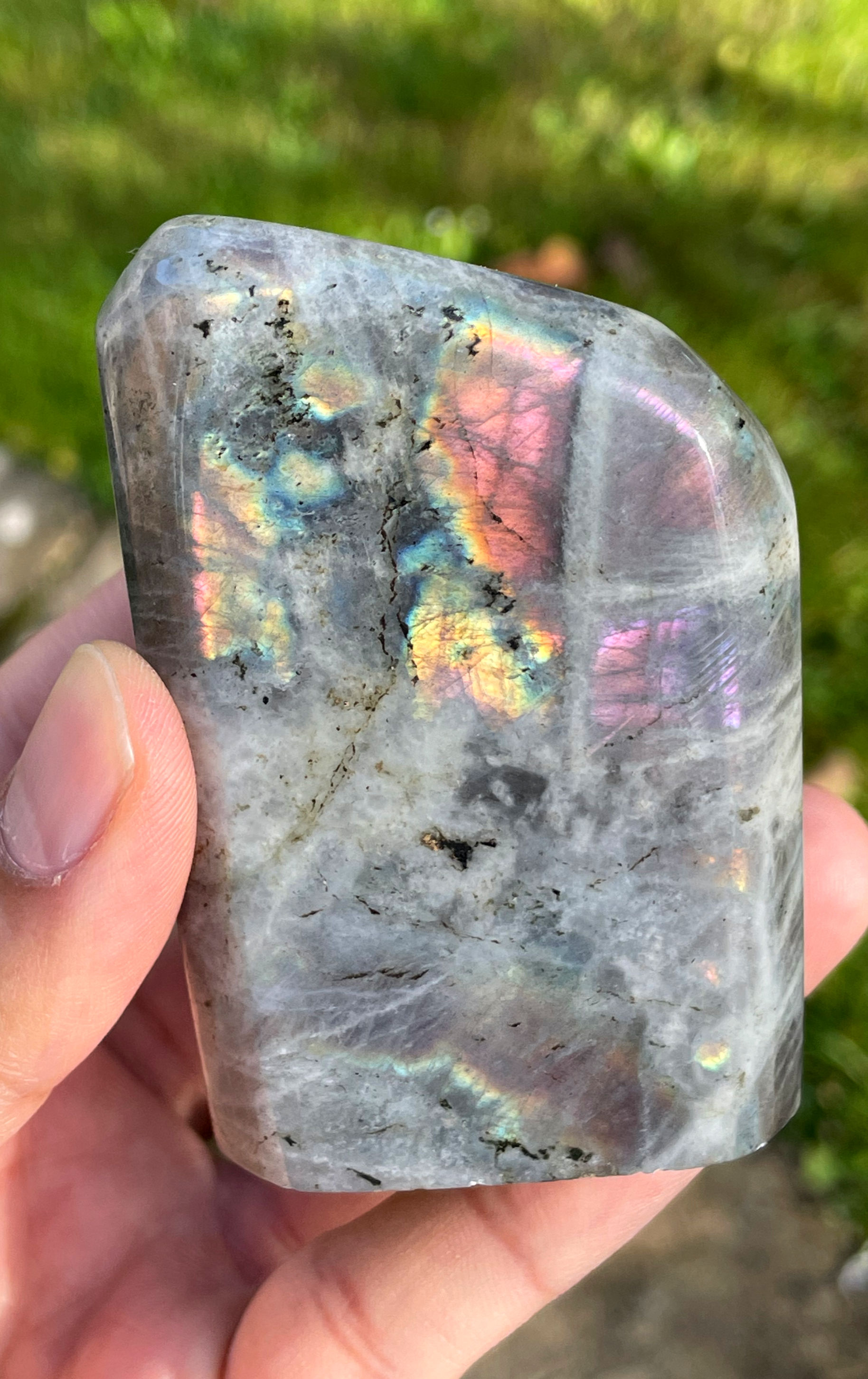 Labradorite Free Form (Medium)