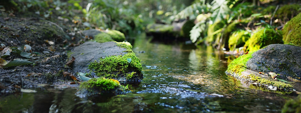 AdobeStock_432294344.jpeg