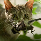 9Tzi8ywRz924XE3uHaD6DZ3Ef+IdbOiYlvIROR5vlqUeRrexTocZGobKRJ9od-gnk3B-CeKTmTAsIjj6Q0YaYbm7-q