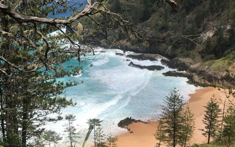 Norfolk Island needed a permitting system – and they needed it fast!