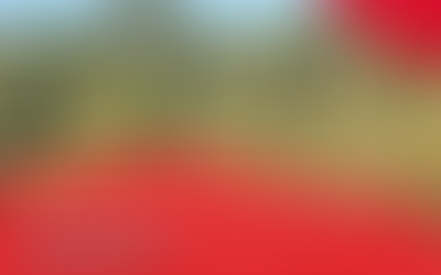 How can we maintain Business Continuity for Council Meetings?