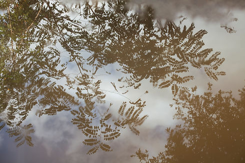 Reflections.jpeg
