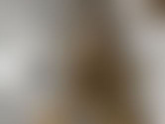 本日のお買取り