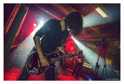 DSC02872bbborealisborder