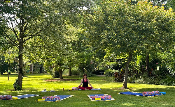 YbyM001_ jardin.jpeg