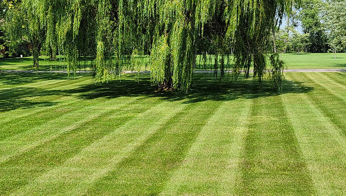 Mowing