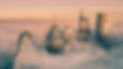 IMG_3878.jpeg