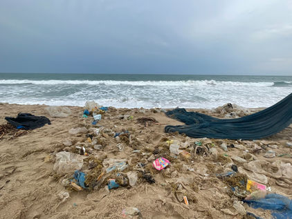 PlasticAda (3).jpeg