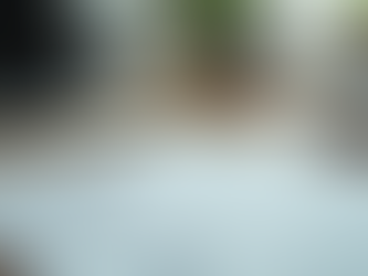 Ace Your PMP Exam with Our Proven Preparation Strategies