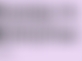 Women in Social Enterprise